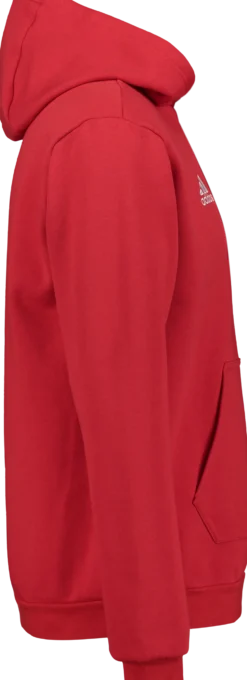 ADIDASent22 hoody jr