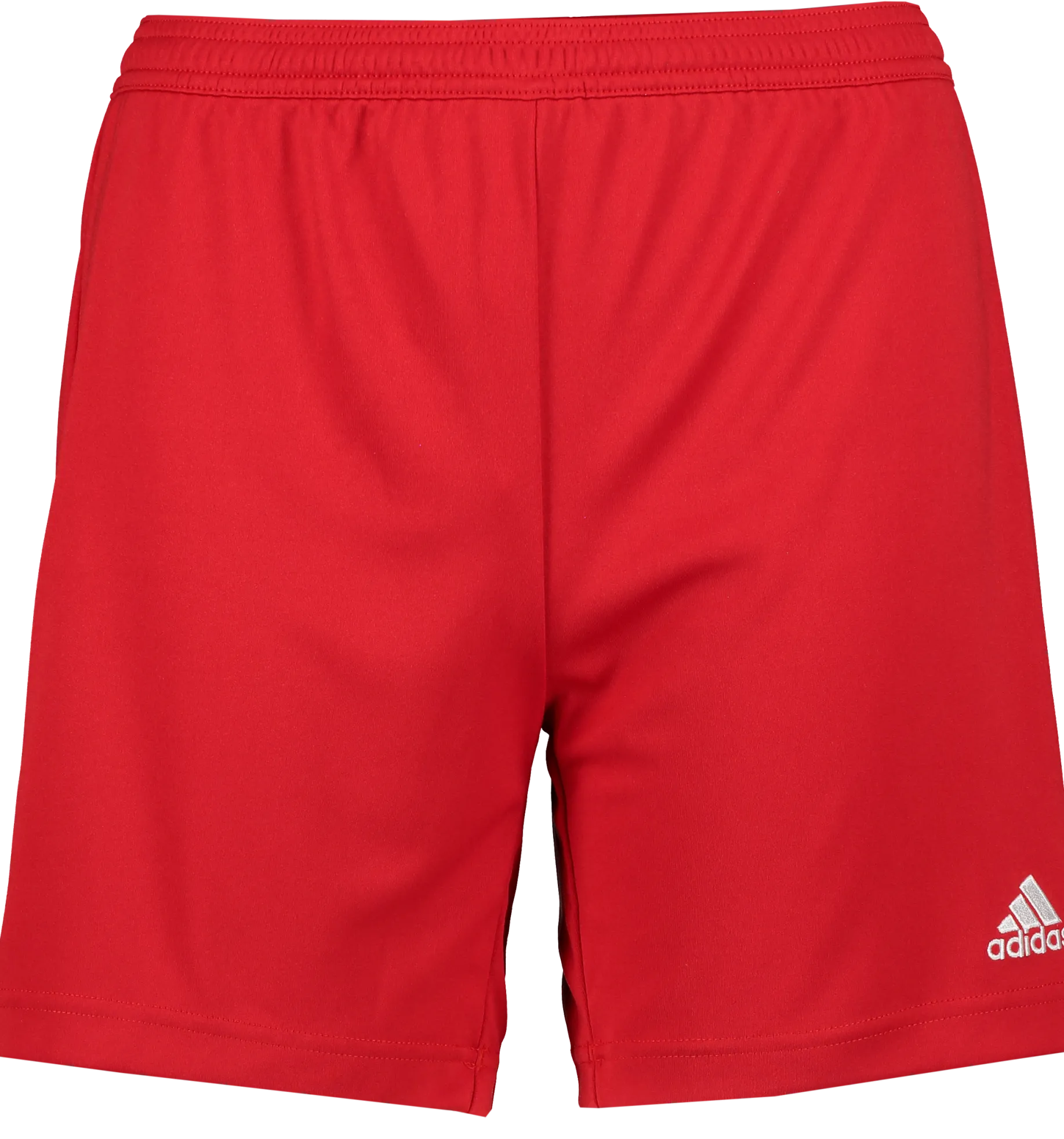 ADIDASent22 shorts lw