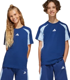 ADIDASj colorblock t-shirt