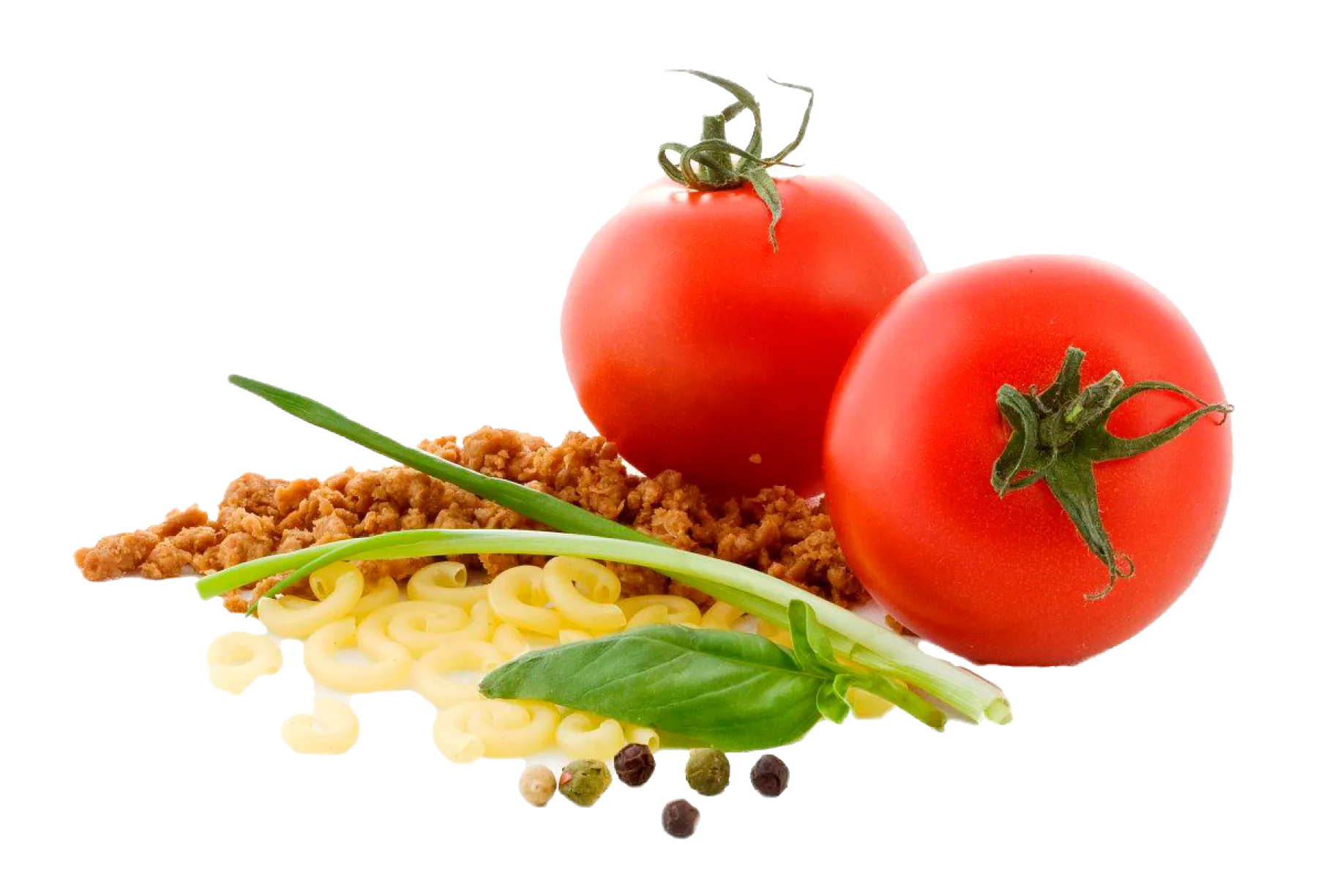ADVENTURE FOODfrystorkad mat