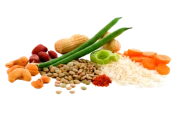 ADVENTURE FOODfrystorkad mat