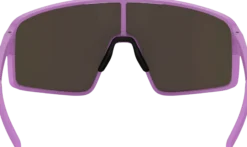 BLIZp001