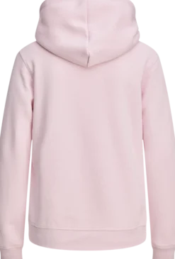 CHAMPIONhooded sweatshirt