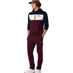 CHAMPIONsweatshirt icons hood m