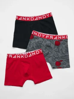 FRANK DANDYso 3-p boxer m