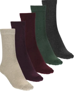 FRANK DANDYso 5p colorama u
