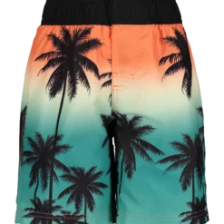 HANGTENboard shorts jr