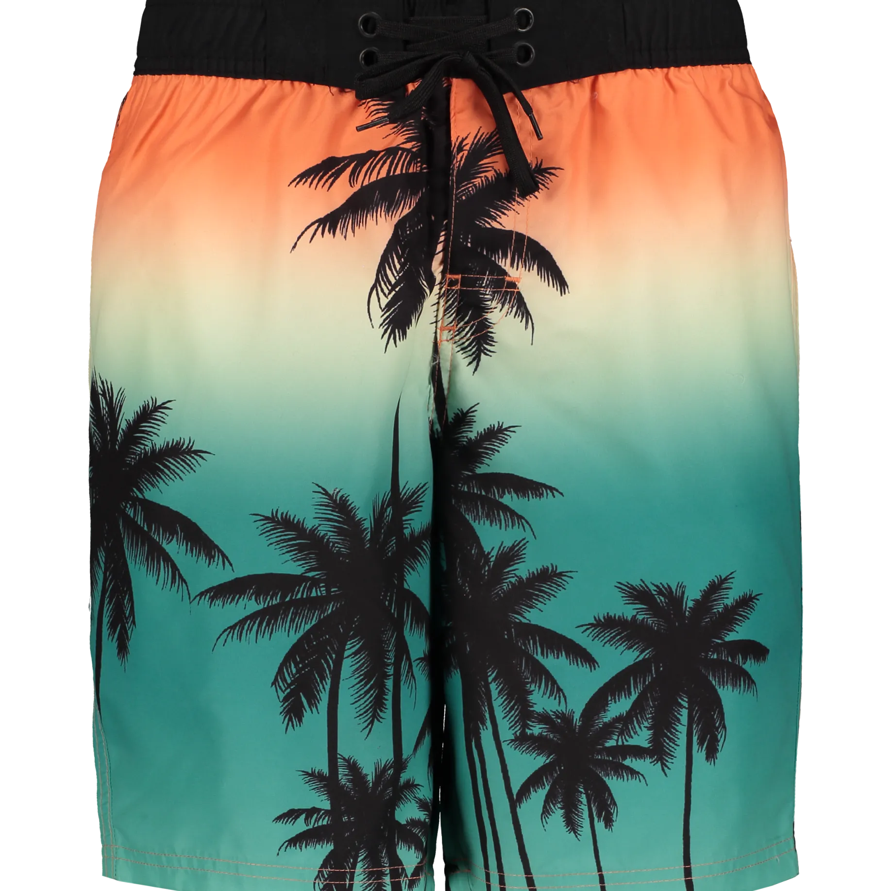 HANGTENboard shorts m