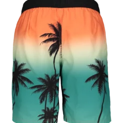 HANGTENboard shorts m