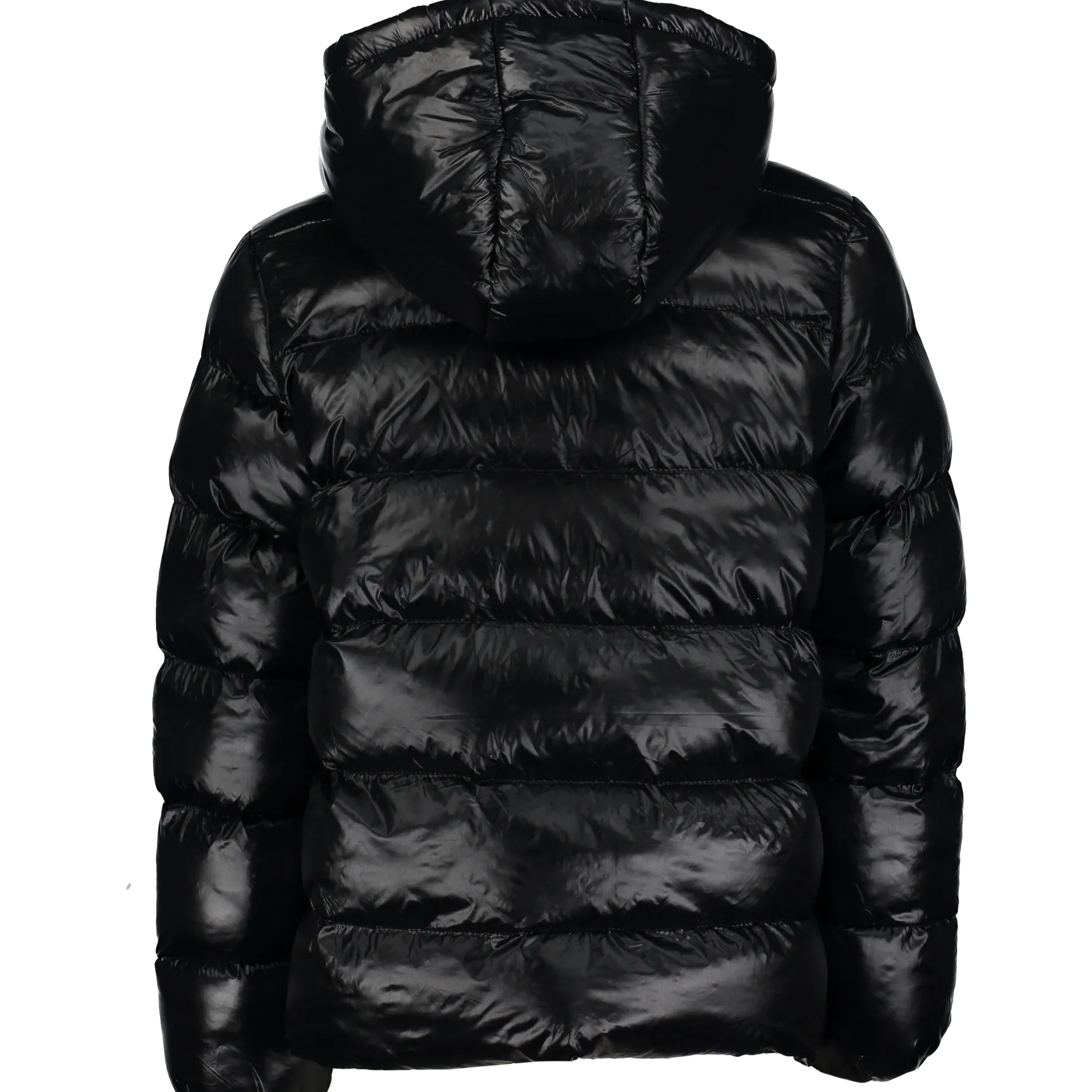 VINSONgaia reg mid ny vin jr otw